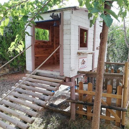 Azienda Agrituristica Le Betulle Riotorto Kültér fotó