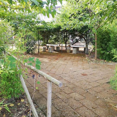 Azienda Agrituristica Le Betulle Riotorto Kültér fotó