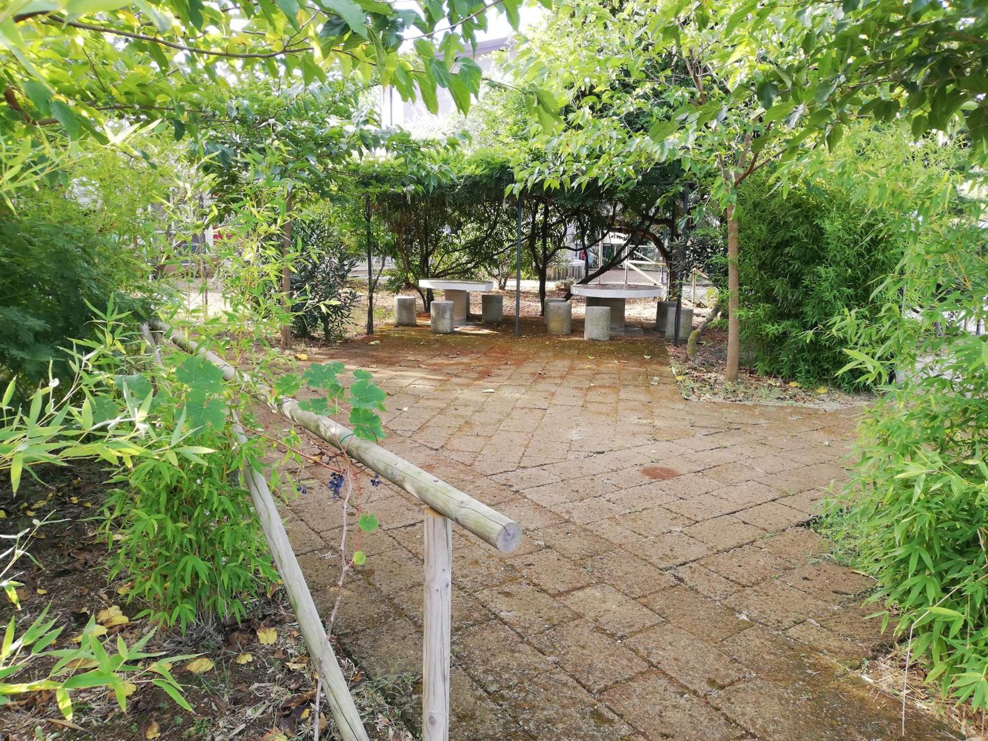 Azienda Agrituristica Le Betulle Riotorto Kültér fotó