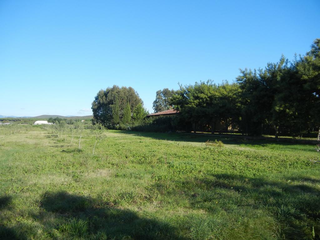 Azienda Agrituristica Le Betulle Riotorto Kültér fotó