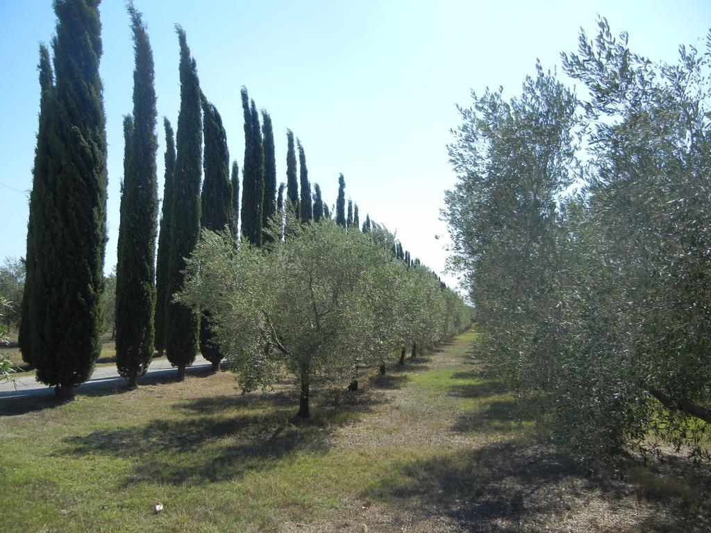 Azienda Agrituristica Le Betulle Riotorto Kültér fotó